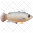 Anabas Pez Animal Acuatico Icono