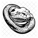 Anaconda  Icono