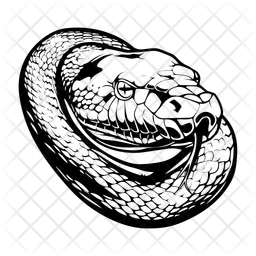 Anaconda  Icon