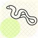 Anaconda Reptile Ecailleux Icône