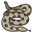 Anaconda Python Boa Icon