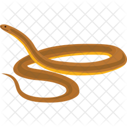 Anaconda Icon - Download in Flat Style