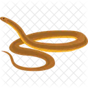 Anaconda  Icono