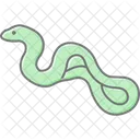 Anaconda  Icon