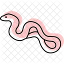 Anaconda Icon