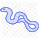 Anaconda Icon