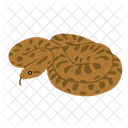 Anaconda Snake Animal Icon