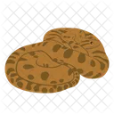 Anaconda Snake Animal Icon