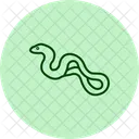 Anaconda Reptile Scaly Icon