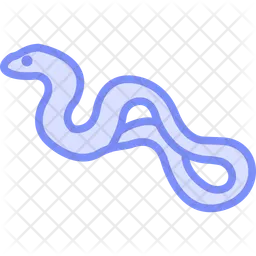 Anaconda  Icon