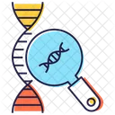 Analise De DNA Fita De DNA Testes De Biologia Ícone