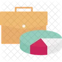 Analytics portfolio  Icon