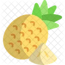 Ananas Ananas Tropisch Symbol