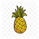 Ananas Symbol