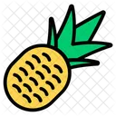 Ananas Gesunde Ernahrung Bio Obst Symbol