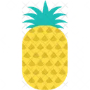 Ananas  Symbol