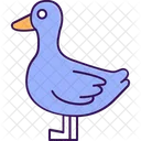 Anas Crecca Duck Bird Icon