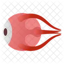 Anatomía del ojo  Icono