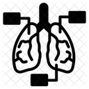 Anatomia do sistema respiratório  Ícone