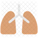 Medicina Anatomia Pulmoes Ícone