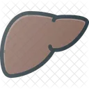 Anatomia Orgao Medicina Ícone