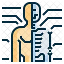 Anatomia Humano Corpo Ícone