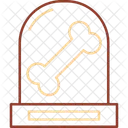 Anatomie Skelett Fossilien Symbol