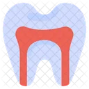 Anatomie Kanal Wurzel Symbol