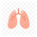 Anatomie Entgiftung Hepatologie Symbol