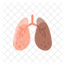 Anatomie Entgiftung Hepatologie Symbol