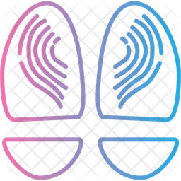 Anatomy  Icon