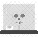 Anatomy Skeleton Bone Icon