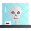 Anatomy  Icon