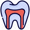 Anatomy Canal Root Icon