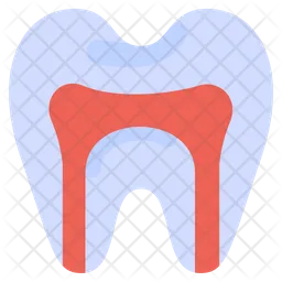 Anatomy  Icon