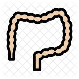 Anatomy  Icon