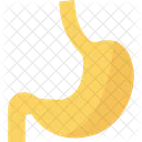 Anatomy Icon