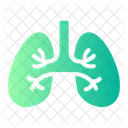 Anatomy Lungs Part Icon