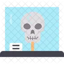 Anatomy  Icon