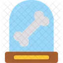 Anatomy  Icon
