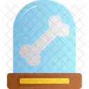 Anatomy  Icon