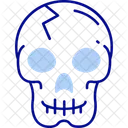 Anatomy  Icon