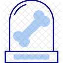 Anatomy  Icon