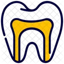 Anatomy  Icon