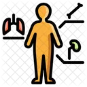 Anatomy  Icon