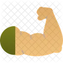 Anatomy  Icon