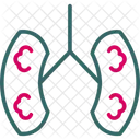 Anatomy Kidneys Nephron アイコン