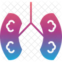 Anatomy  アイコン