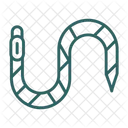 Anatomy  Icon