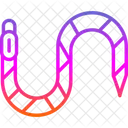 Anatomy  Icon